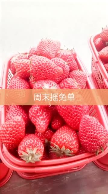 在分析快手秒下载安装和ks积赞免单的技术对我的内容创作和播放量提升的影响时,我得出以下结论
