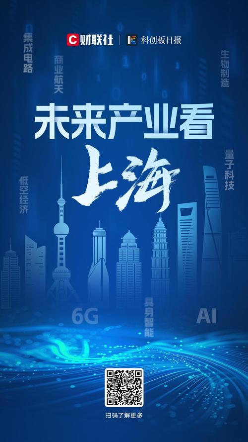 上海网络市场，数字时代的机遇与挑战