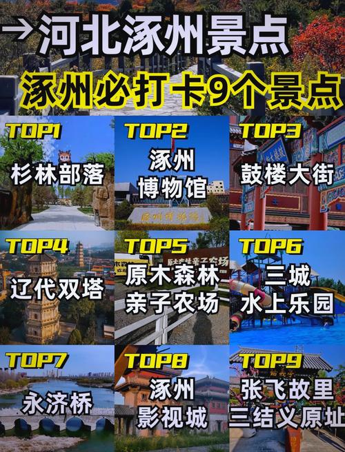 一、涿州做网站的背景分析