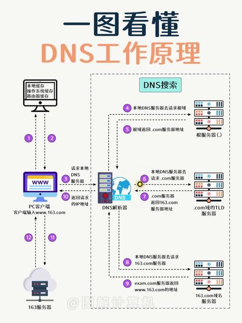 初入网络领域,解析你的网络域名