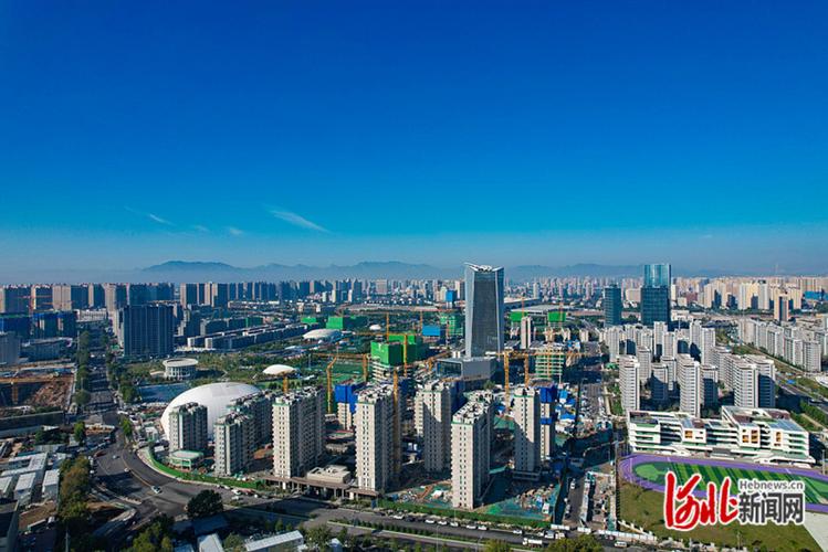 石家庄网络巨头，科技巨头的崛起与价值