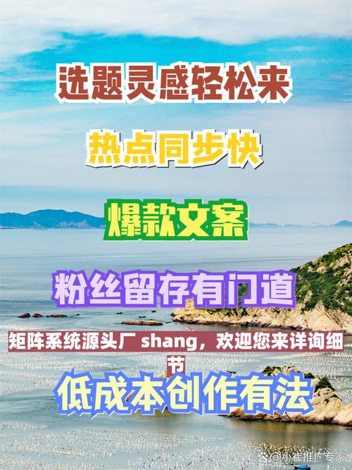 如何在抖音上高效运营，内容创作与广告投放指南