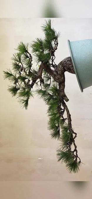 双击与免费业务的区别,如何成功利用双击获取流量