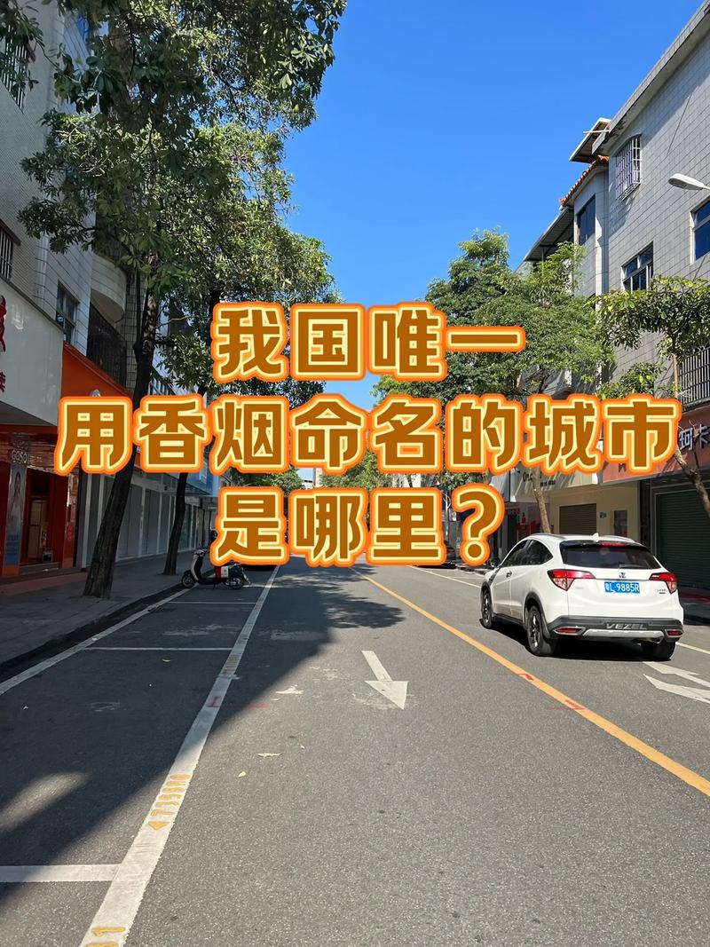 延吉专业网络营销开发,你的城市品牌崛起之路