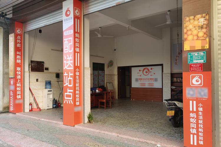 深圳蚂蚁网络建设