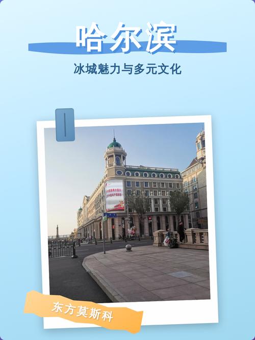 网络哈尔滨，一个多元文化的相遇处