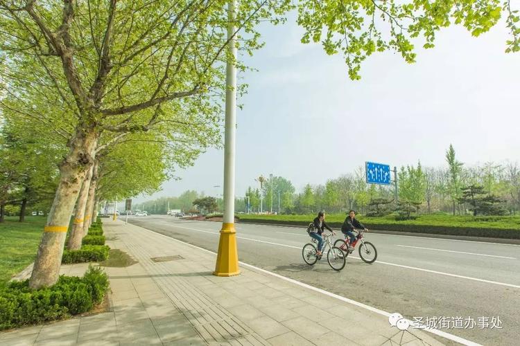 寿光网络优化,从基础设施到应用场景的 Comprehensive 指南