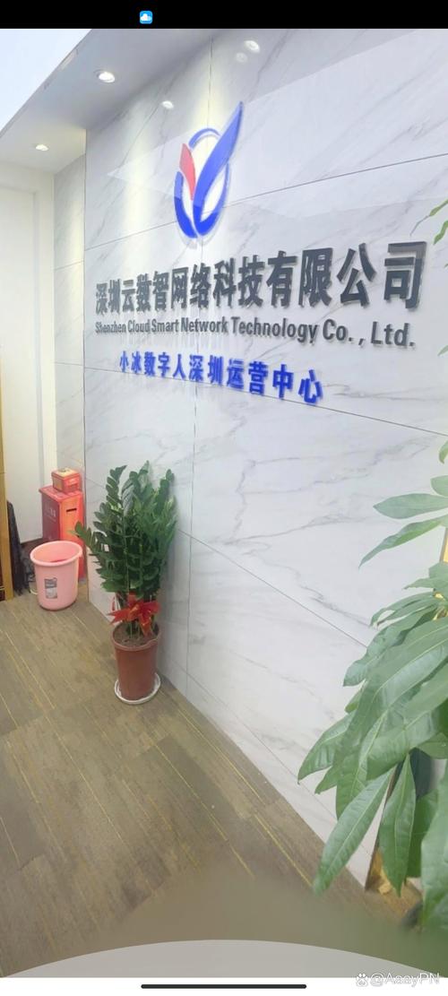 深圳网络公司推荐,选对一家能赚到钱的