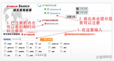 如何查看网络域名