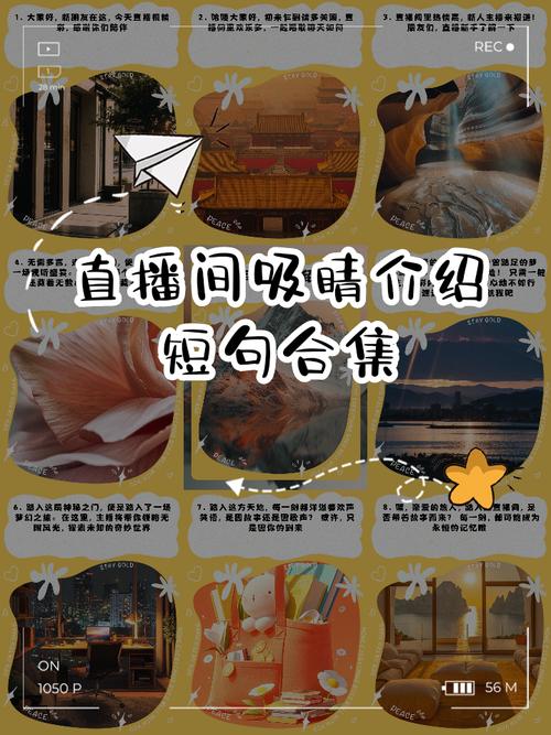 短句刷赞代刷网与直播爱心业务推广
