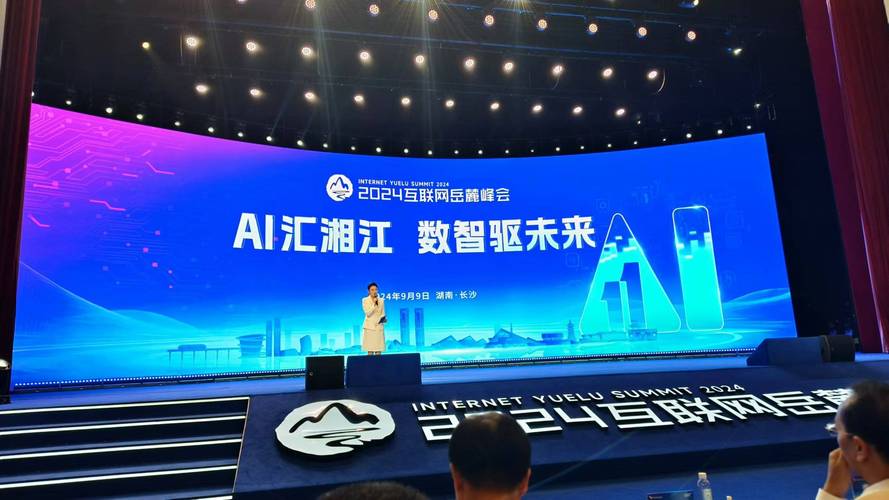 湖南大型网络科技公司，机遇与挑战的双重解读