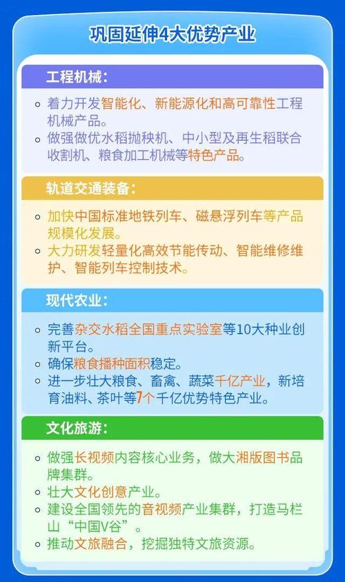 湖南大型网络科技公司,机遇与挑战的双重解读