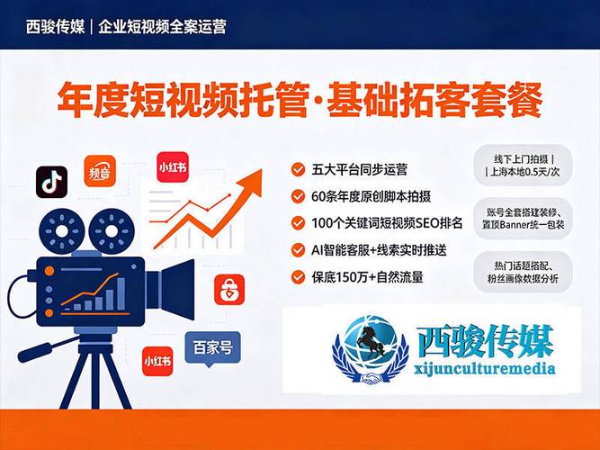 短视频推广软件双击后背,抖音与快手的高效推广之道