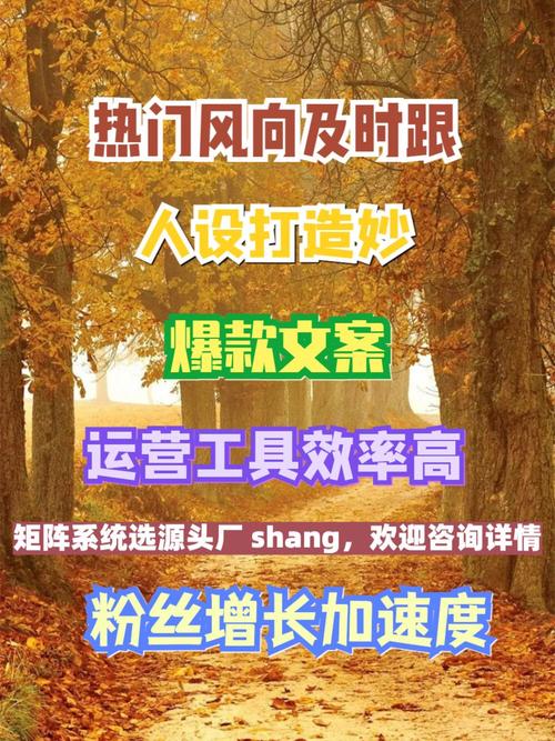 抖音双击秒业务推广指南，如何高效利用双击秒提升转化率