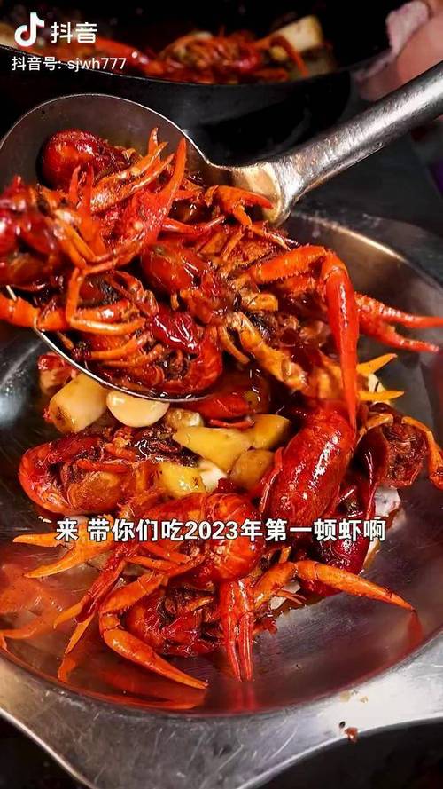抖音火山代刷与dy虾卡盟,高效转化的秘密