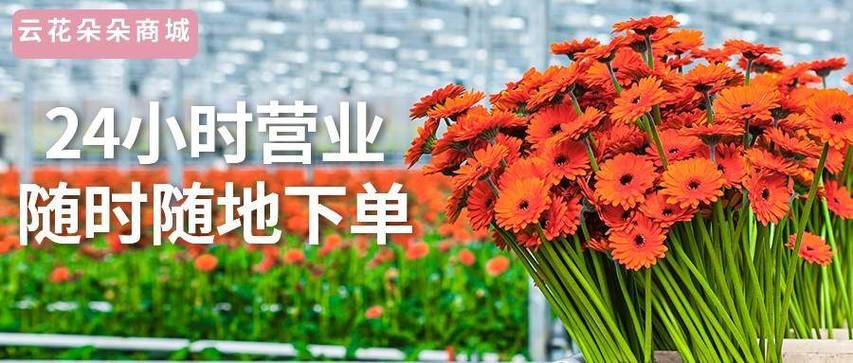 如何在24小时内找到最低价?24小时下单平台推荐