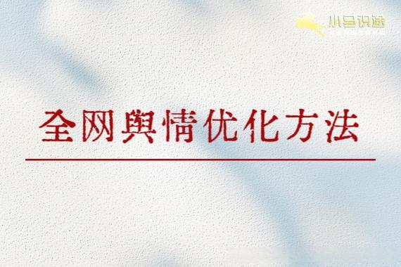 网络优化网站建设，让您的网站跃然网络的亮点
