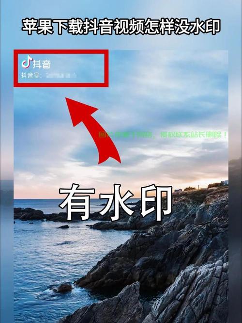 以下是对快手自助赞、抖音快手秒工具和ks快手低价业务网站的指南和分析