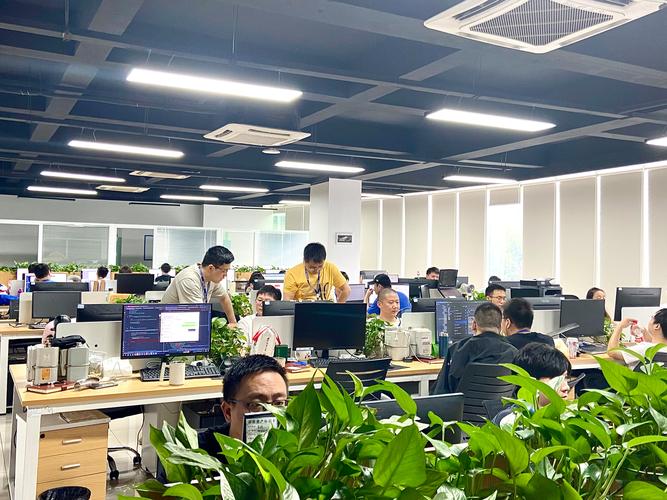 珠海网络公司
