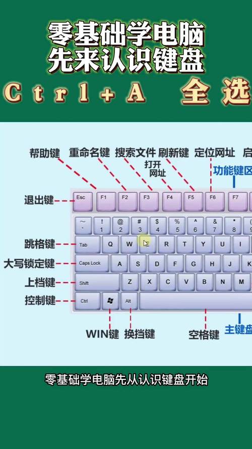 计算器键盘指法练习与戴尔笔记本电脑拆机指南