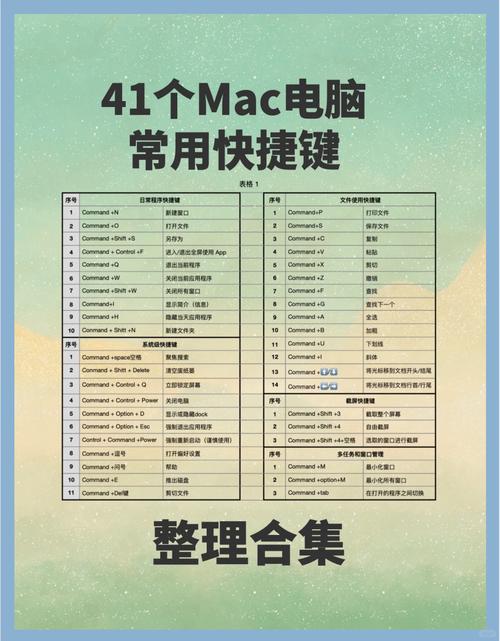 如何轻松掌握网络开发与软件开发？这些经典工具和技巧必须掌握！