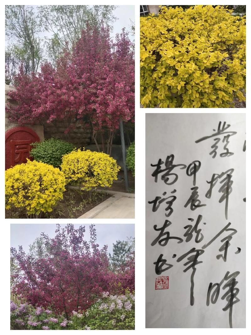 双击赞软件，1赞到底是多少钱？