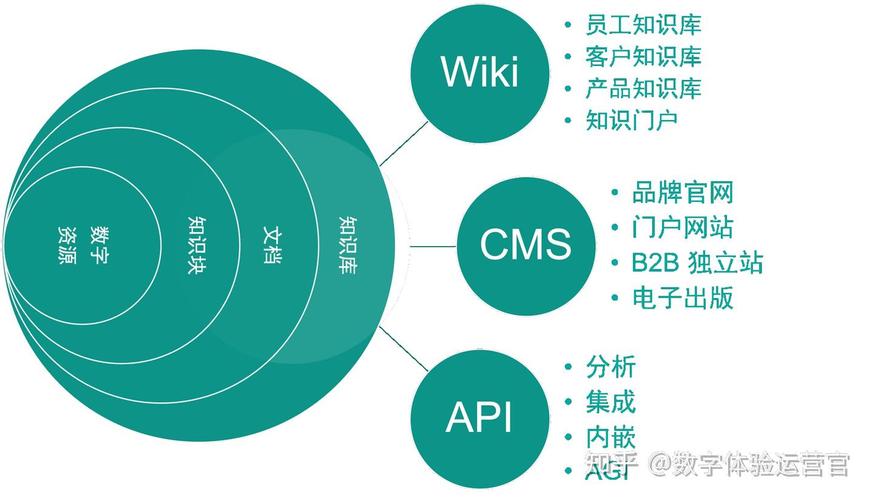 如何构建一个高效且吸引人的网站