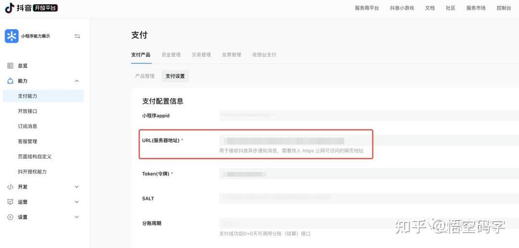 抖音小程序代币代用,轻松控制公投代币交易