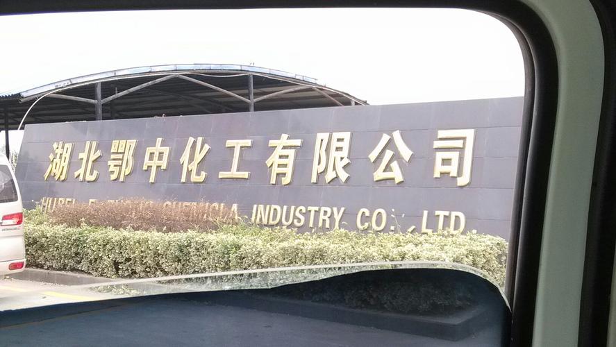 荆门网络公司,数字时代的重要力量