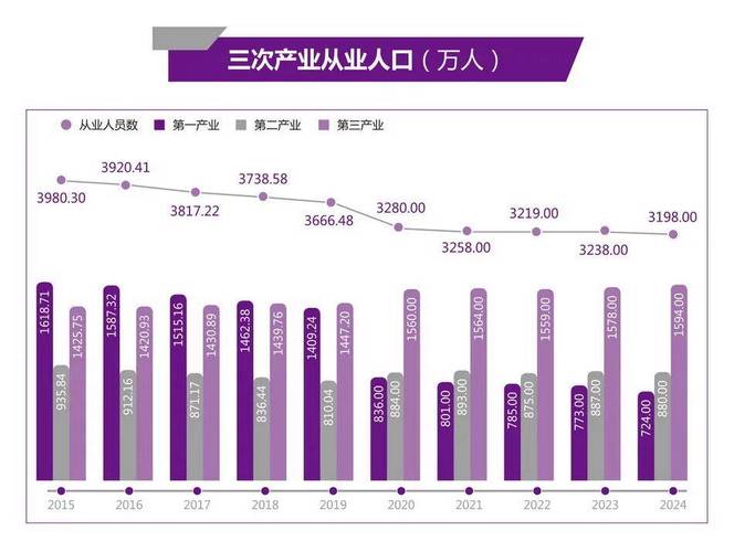 长沙网络设计,市场机遇与未来挑战