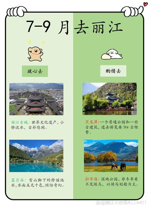 如何让丽江成为网络推广的Goldmine？
