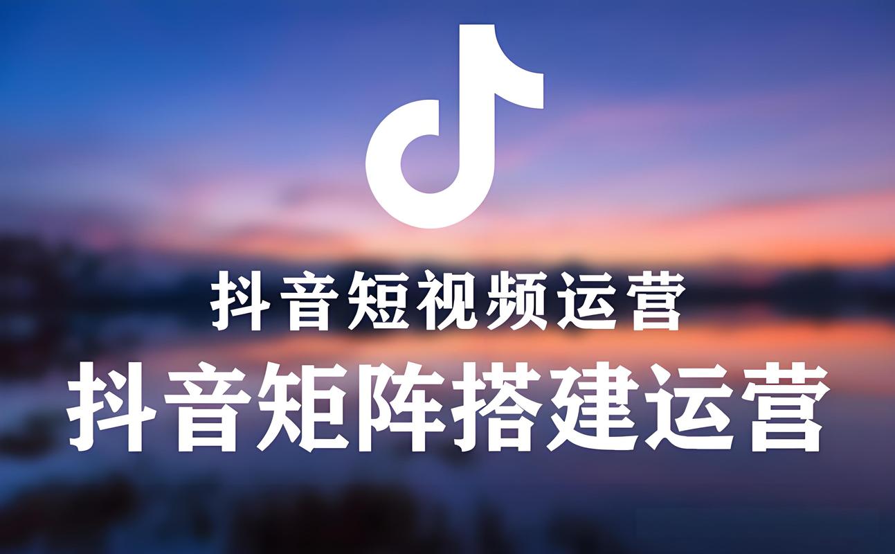 抖音自助代下单平台,高效快速获取流量的秘密