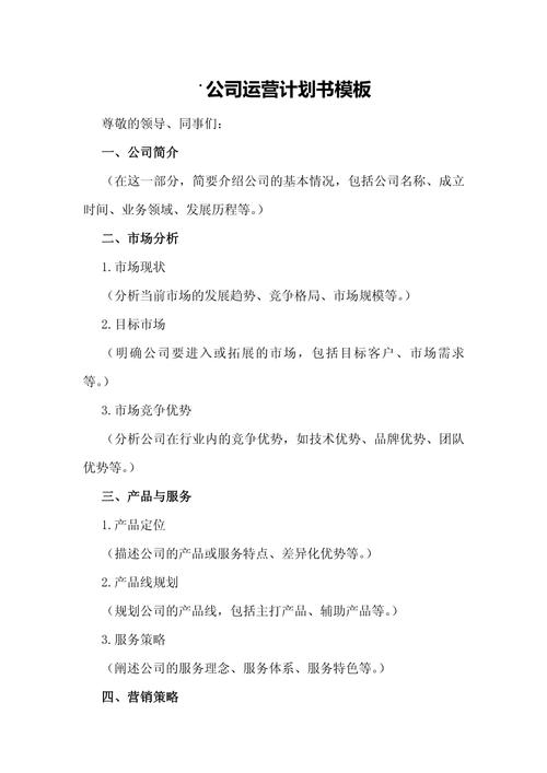 网络公司,从战略到运营的完整指南