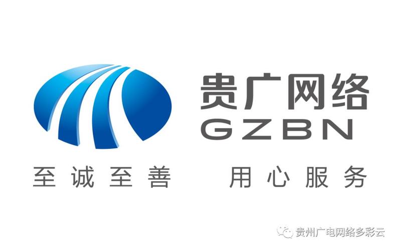 广西网络公司,创新引领未来,精准把握机遇