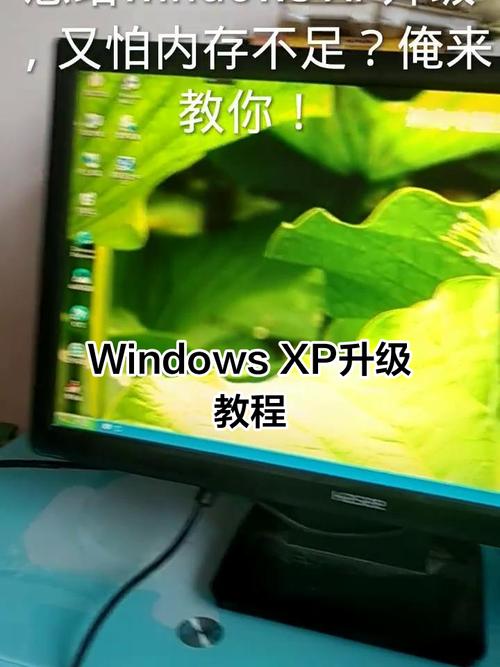 电脑主题下载XP,从新手到高手的全步骤指南