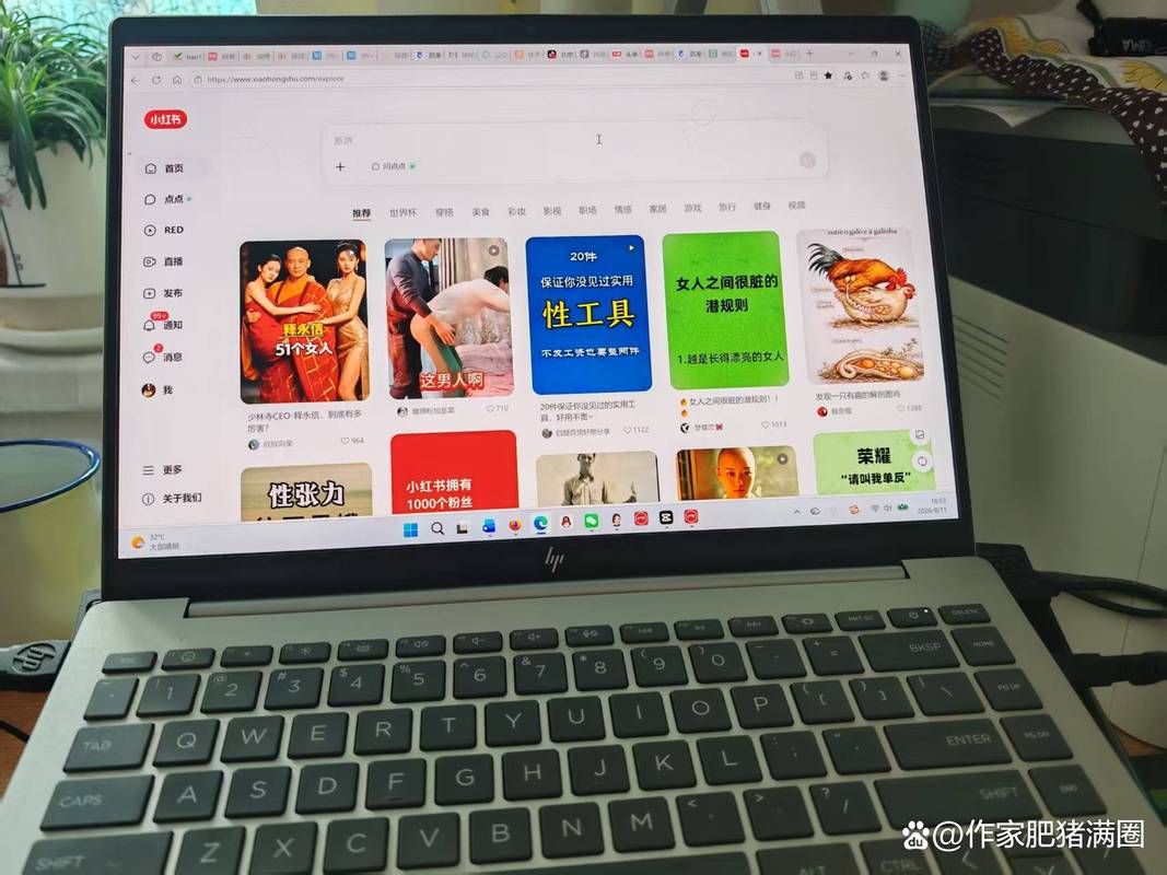 什么是网站？