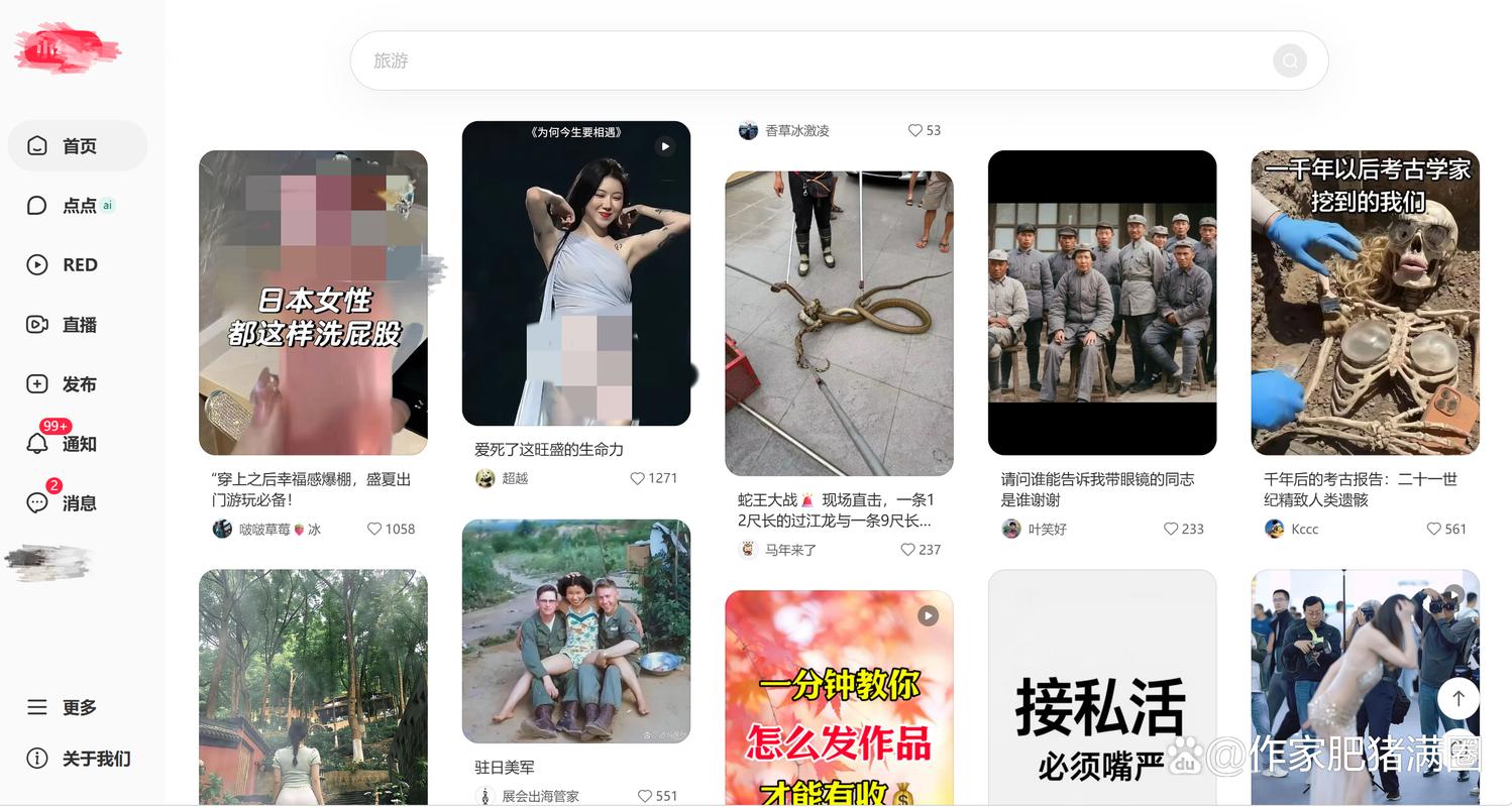 什么是网站?