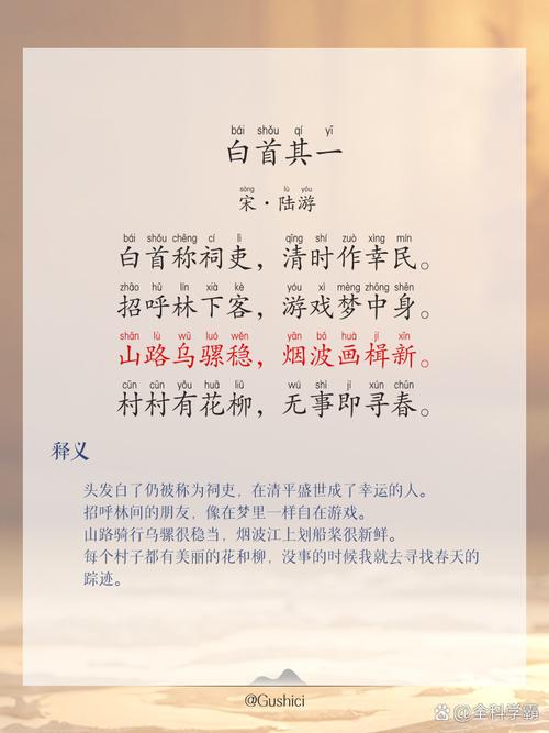 人生若只似少年,恰似白日前朝日,何不建自媒体,以写诗