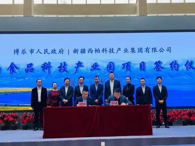 博尔塔拉企业网站建设指南