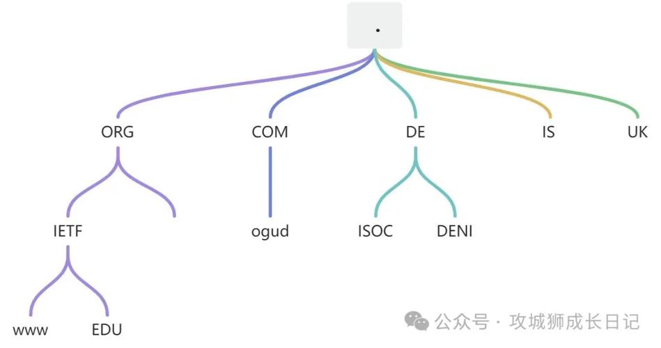 网络域名管理,从基础到未来