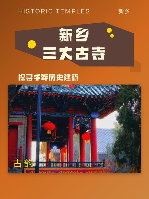 新乡建设的指南与建议