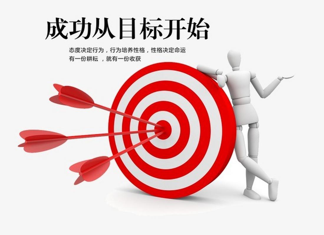 如何成功优化新河网络,从目标用户分析到流量增长的全攻略