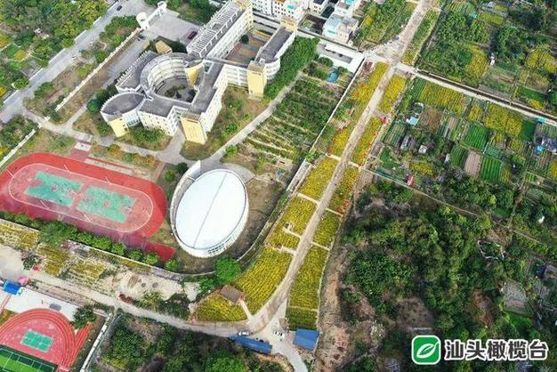 专业定位,汕头专用网站搭建指南