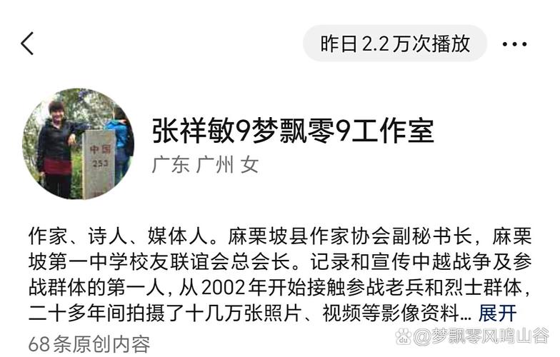抖音赞赞、免费播放量与dy死粉平台,开启内容营销的新篇章
