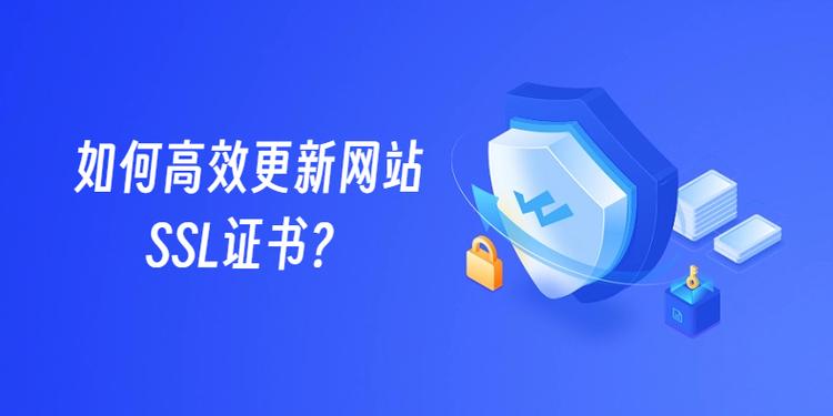 如何构建高效、专业的证书网站？