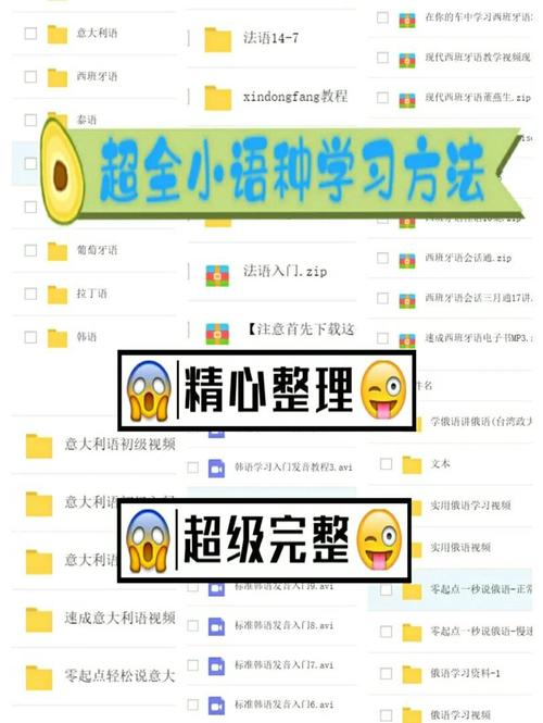 开启你的小语种之旅,一份实用的指南