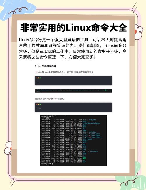 !bin/bash