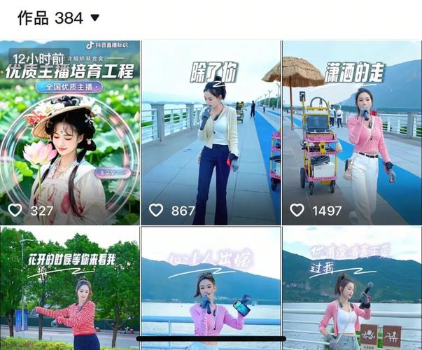 抖音自助平台真人点赞，如何提升粉丝互动与播放量