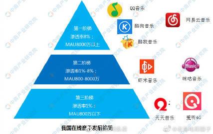 长沙圈子网络科技,助力品牌成长的秘籍