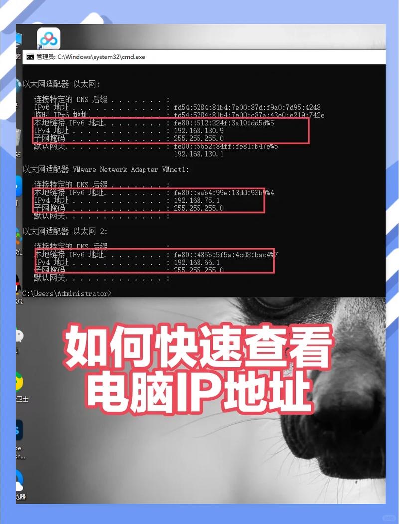 如何在网吧电脑房查看电脑配置？全面指南
